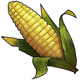 Corn