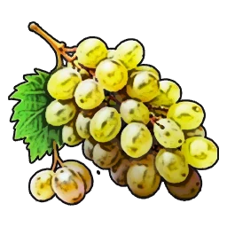 Grape
