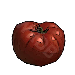 Tomato