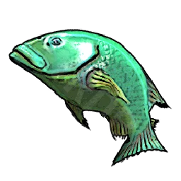Emerald Bluefish