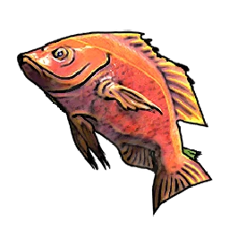 Red Snapper