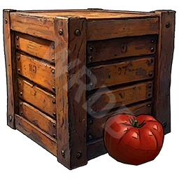 Tomato