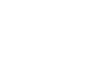 Brethren of The Coast