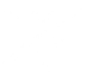 Rogue Buccaneers