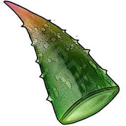 Aloe Leaf