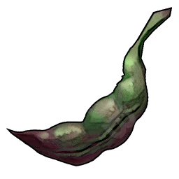 Beans
