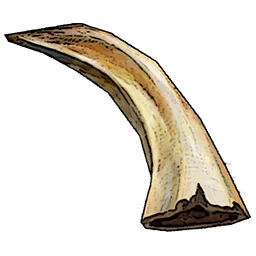 Boar Tusk