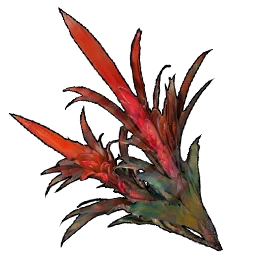 Bromeliad