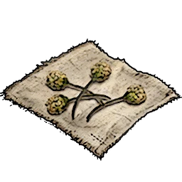 Shrub Seeds