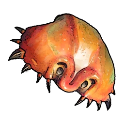 Crab Shell