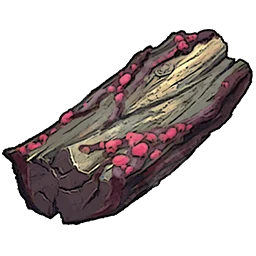 Plague Wood