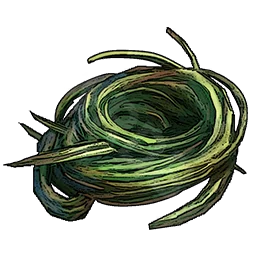 Plant Fiber
