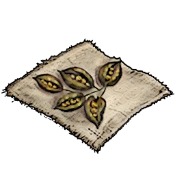 Ficus Seeds