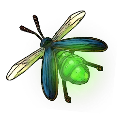 Firefly