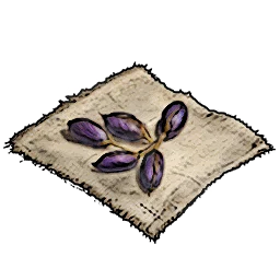 Healing Herb Seeds