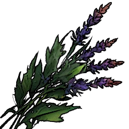 Healing Herbs