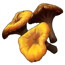 Lobster Mushroom