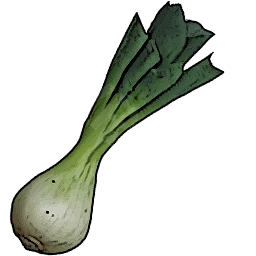 Leek
