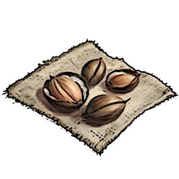 Palm Seeds