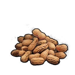 Nuts
