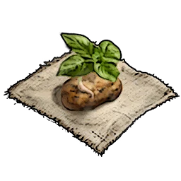 Sweet Potato Seeds